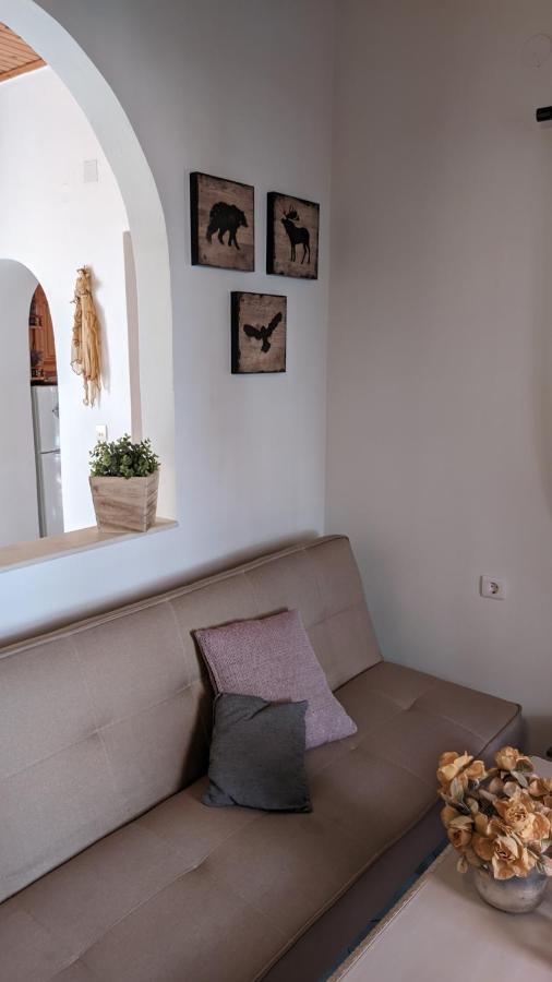 Family House At Corfu Townアパートメント エクステリア 写真